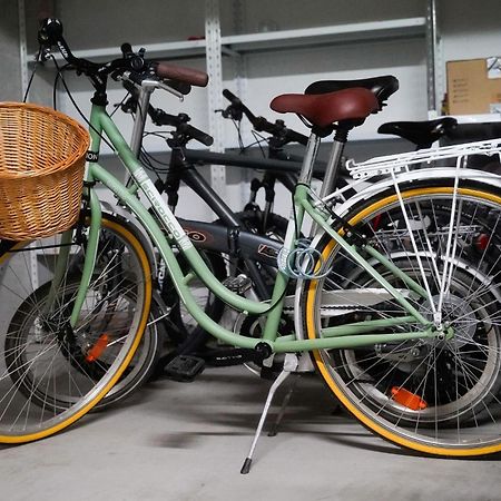 Dandelion Apartment Rovinj-Free Bikes מראה חיצוני תמונה