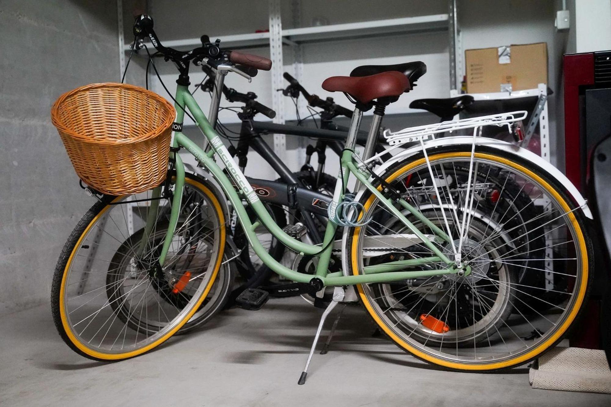 Dandelion Apartment Rovinj-Free Bikes מראה חיצוני תמונה