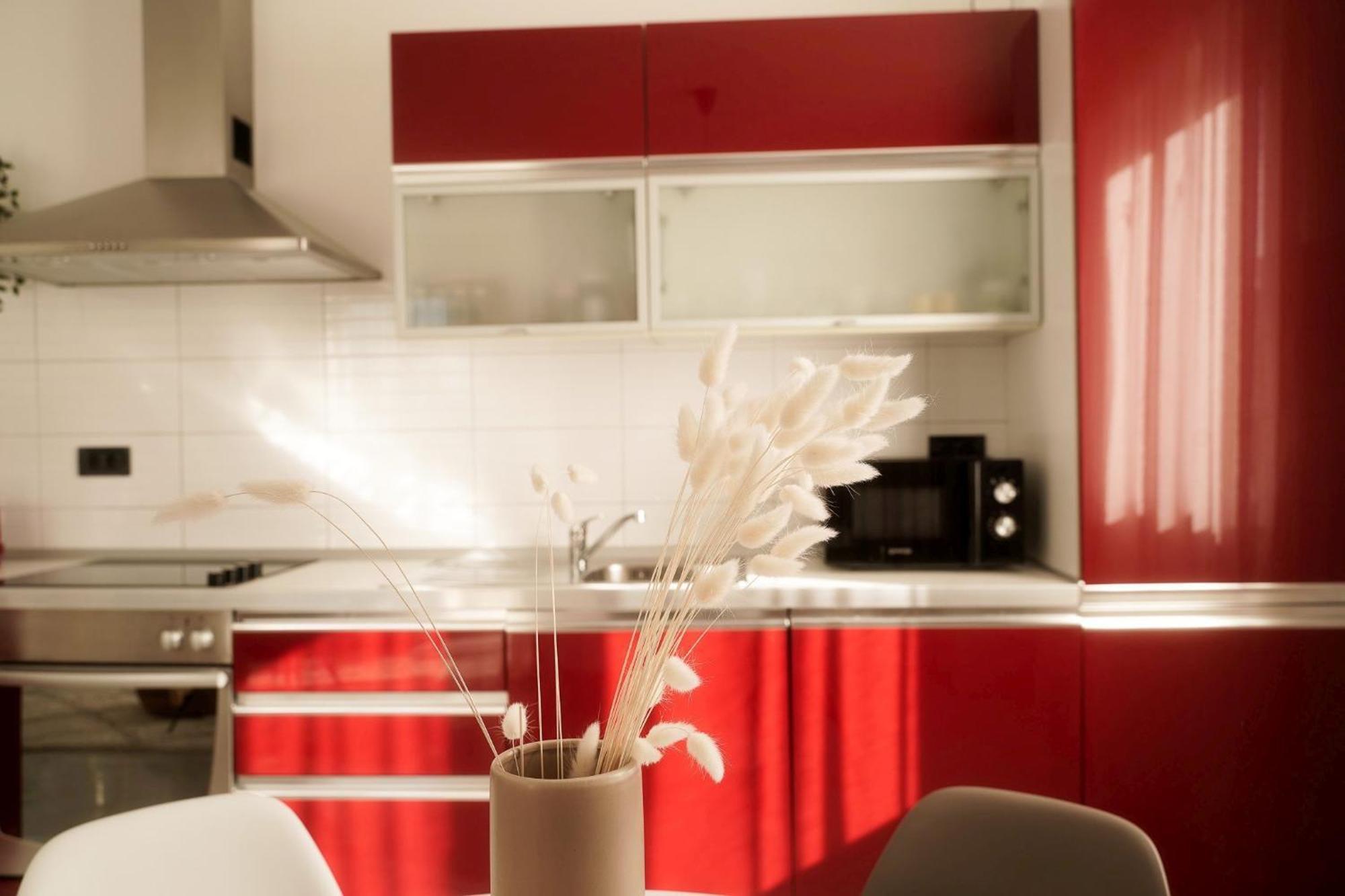 Dandelion Apartment Rovinj-Free Bikes מראה חיצוני תמונה