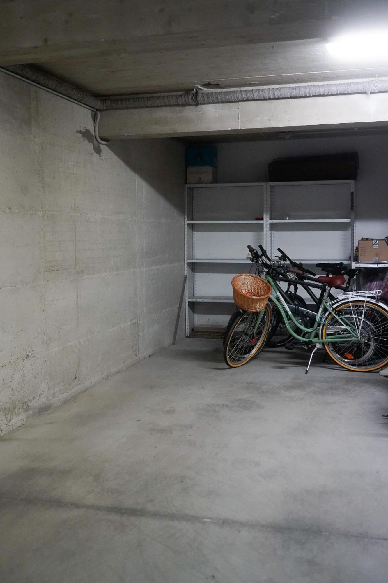 Dandelion Apartment Rovinj-Free Bikes מראה חיצוני תמונה