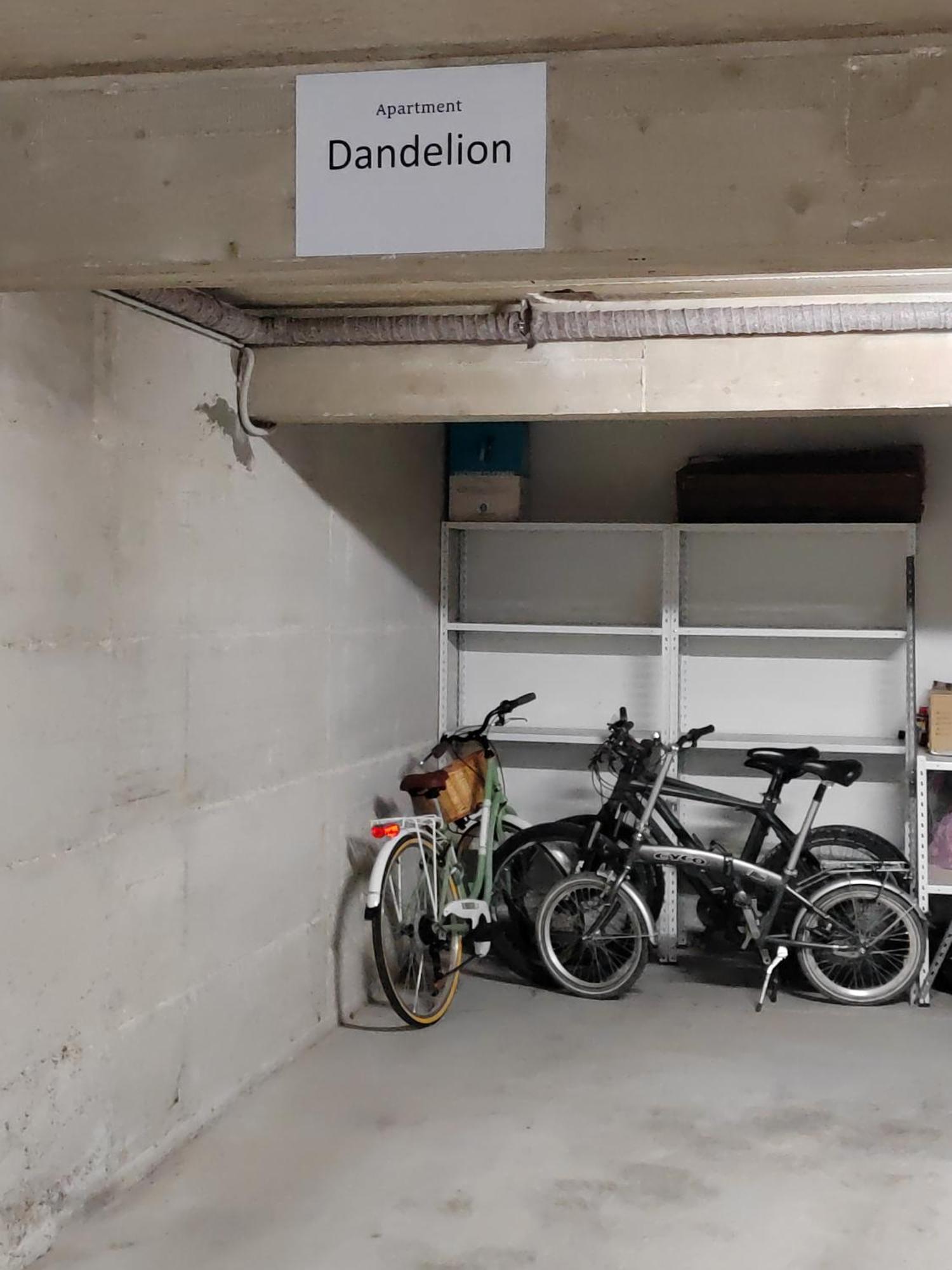 Dandelion Apartment Rovinj-Free Bikes מראה חיצוני תמונה